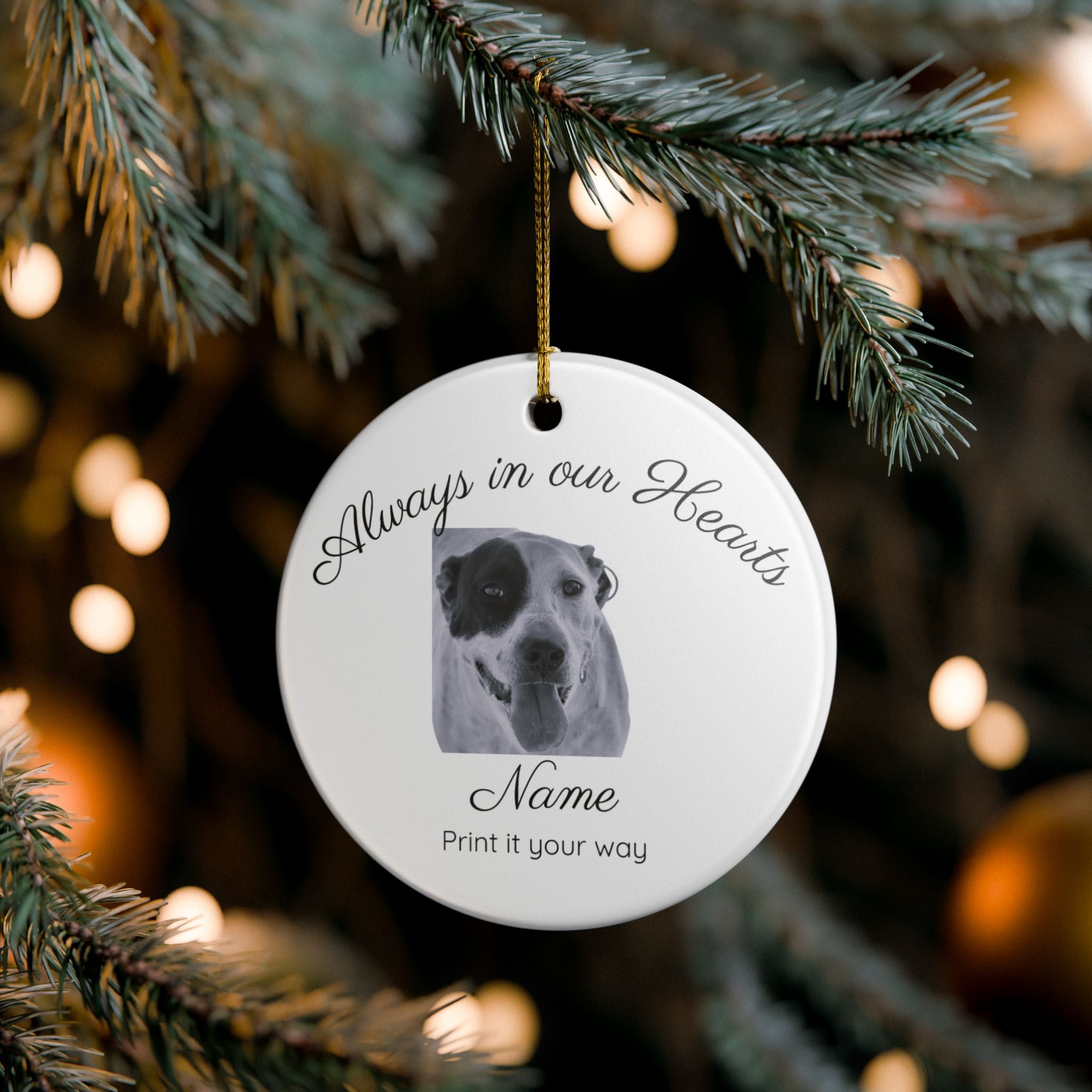 Round white ceramic pet memorial ornament with photo and name hanging on Christmas tree